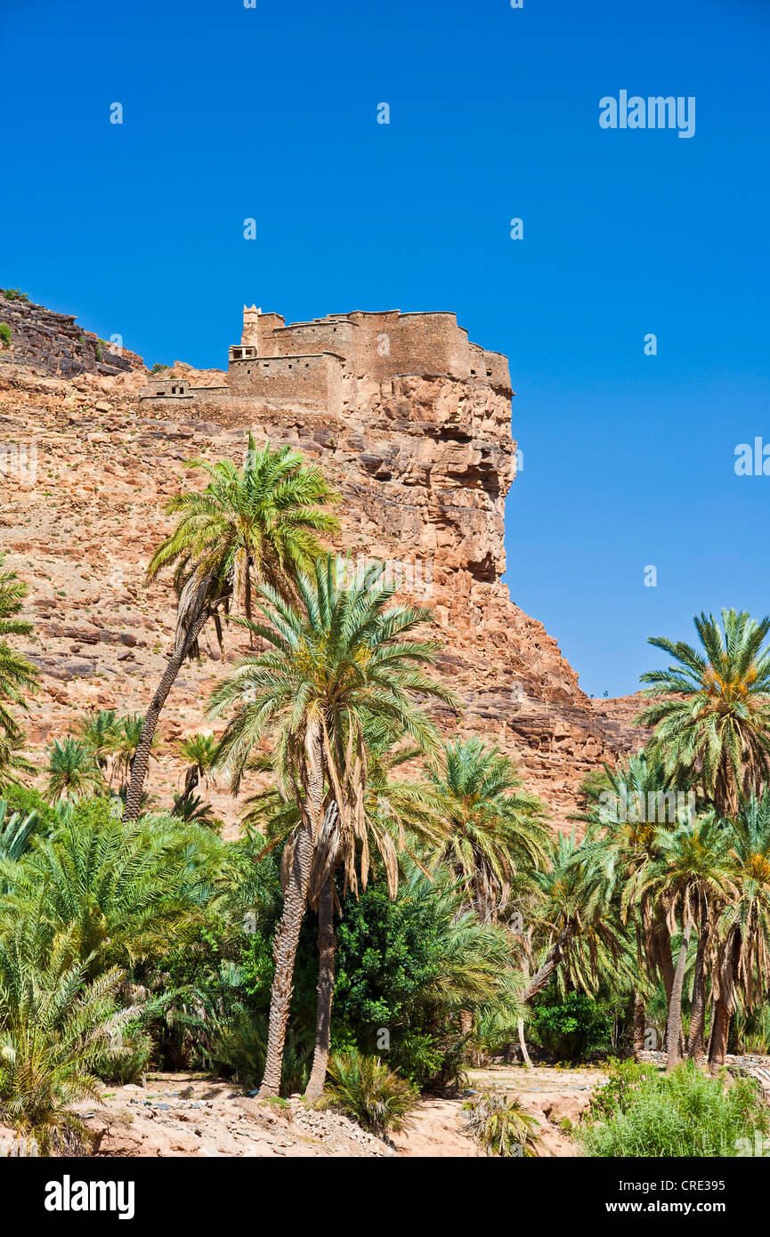 Dry river bed of the Id Aissa with date trees (Phoenix) and the Agadir Aguelluy, a fortified castle on a cliff, Amtoudi Stock Photo