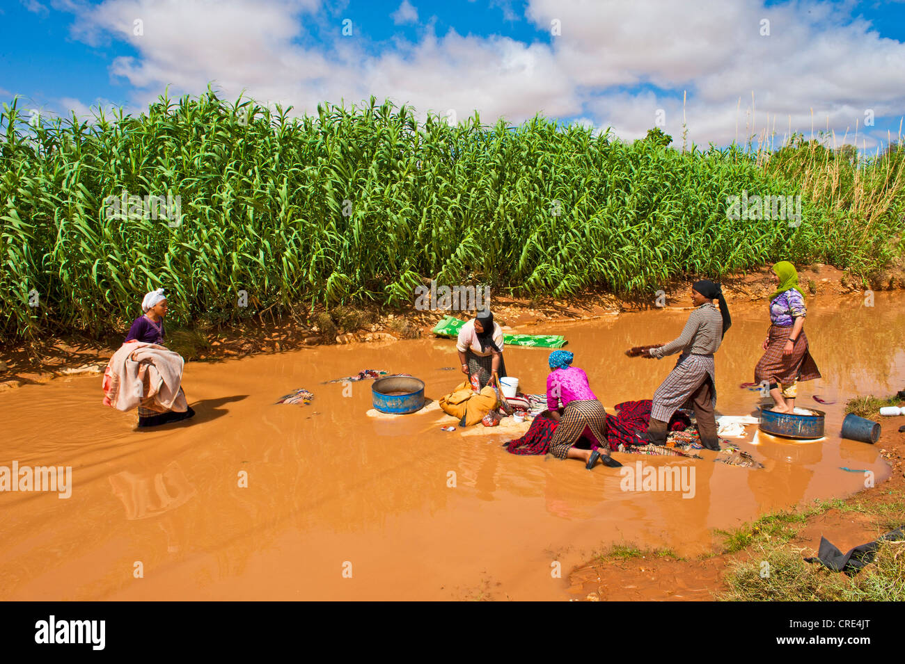 Women doing laundry in the river, southern Morocco, Africa Stock Photo