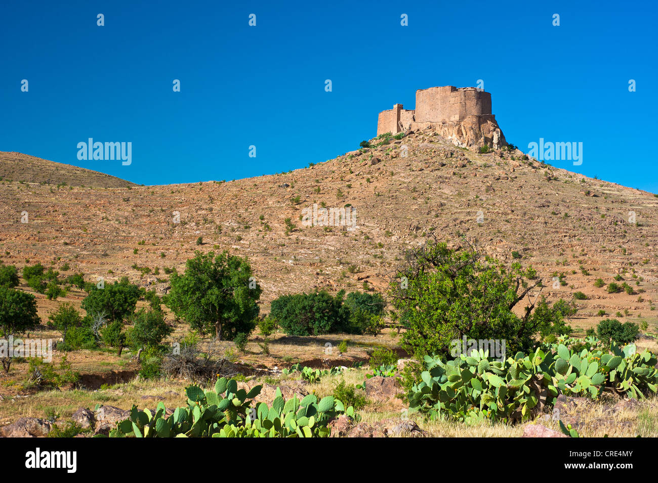 Fortified granary, Agadir Tasguent, on a cliff top, Anti-Atlas Mountains, southern Morocco, Morocco, Africa Stock Photo