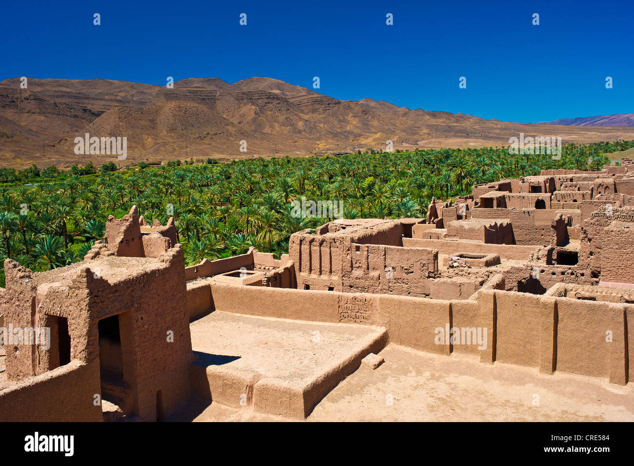 View from the roof of the Tamnougalte Kasbah, mud fortress, mud brick building of the Berber tribe, Tighremt, across the Draa Stock Photo