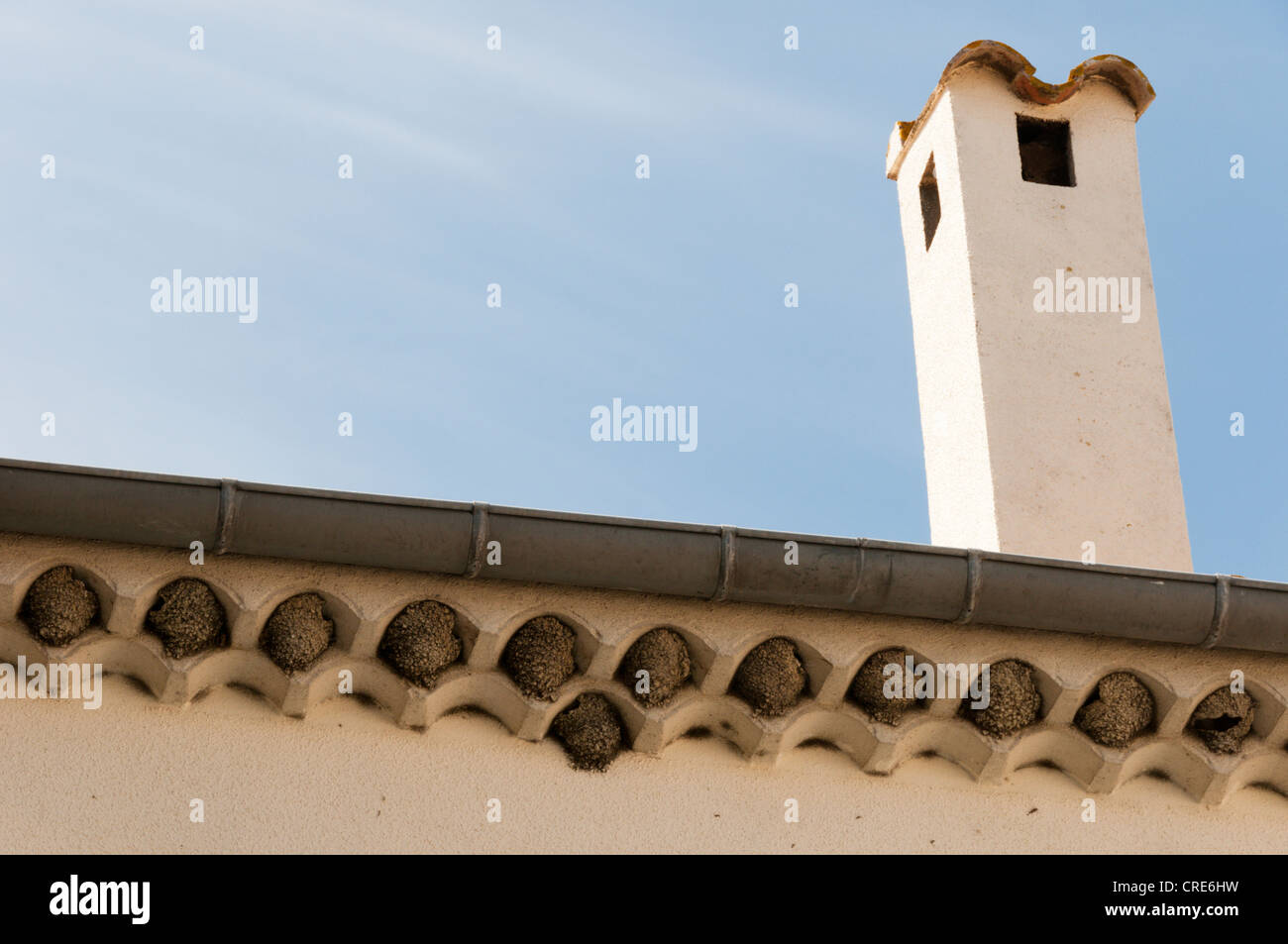 House Martin (Delichon urbica) nests under the eaves of a house in the south of France Stock