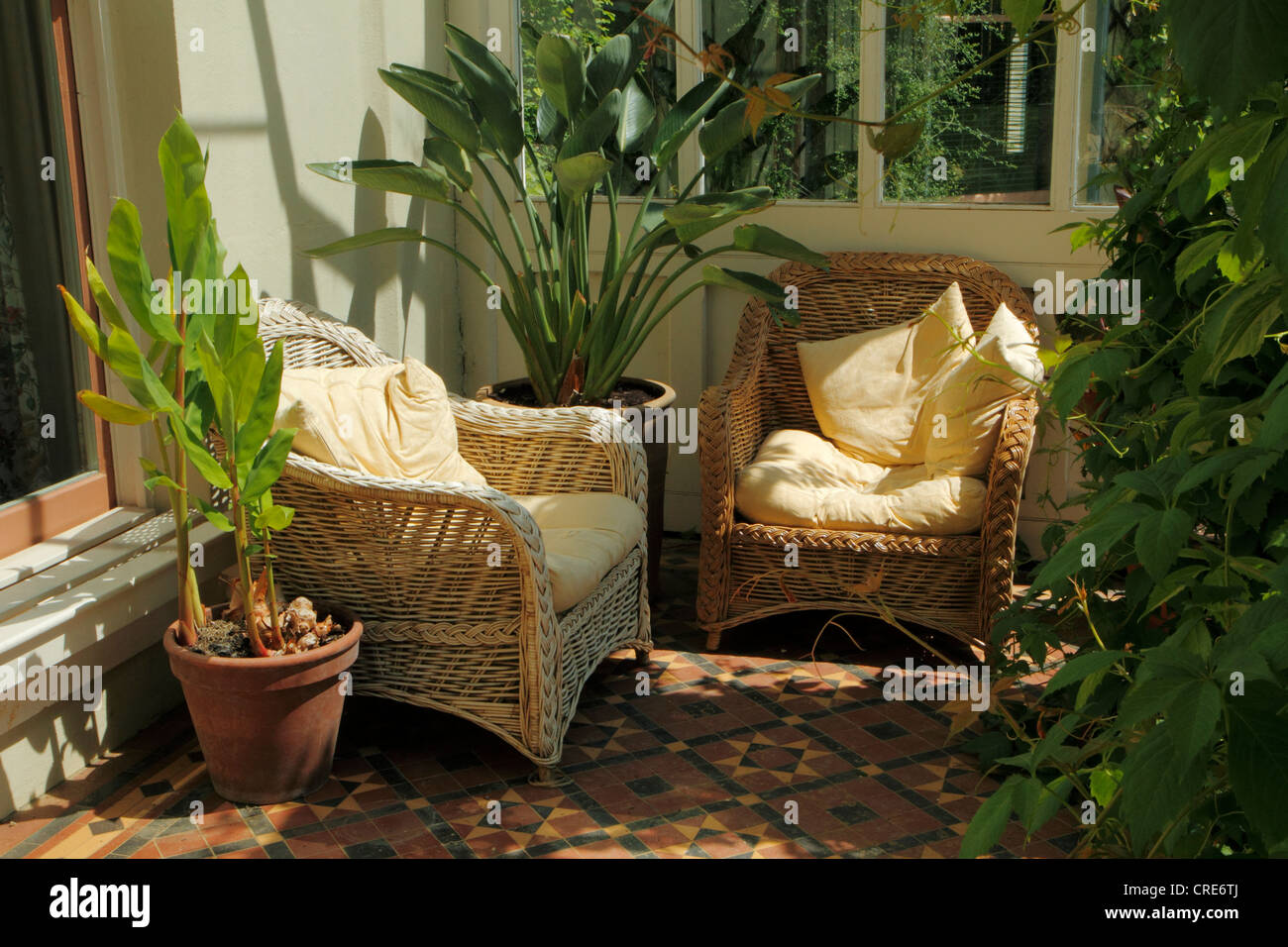 Victorian conservatory, Down House, United Kingdom Stock Photo