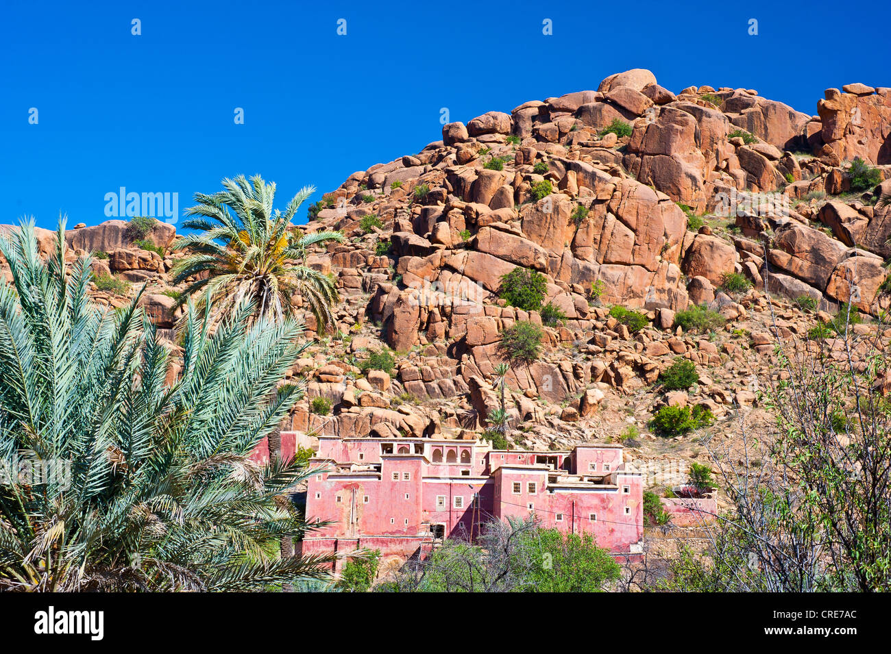 Typical rocky landscape of granite boulders, a traditional house and date palms in the foreground, Tafraoute Stock Photo