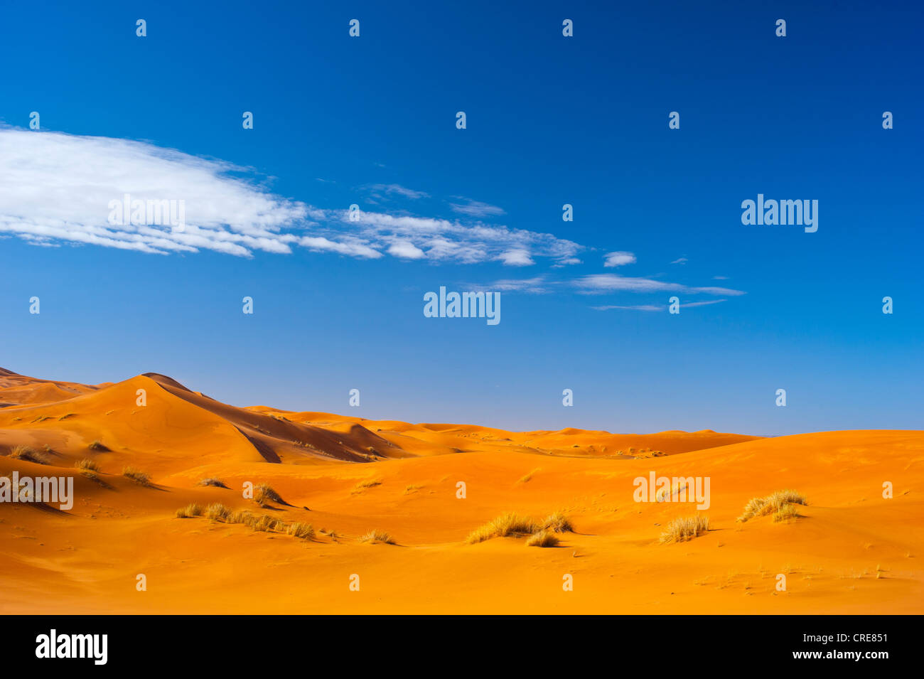 Sand dunes of Erg Chebbi, Sahara, southern Morocco, Morocco, Africa Stock Photo