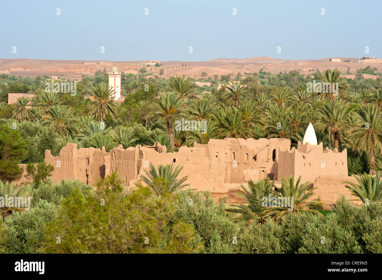 Marabout or tomb of an Islamic saint, and crumbling adobe houses in a palm grove near Skoura, behind the minaret of a mosque Stock Photo