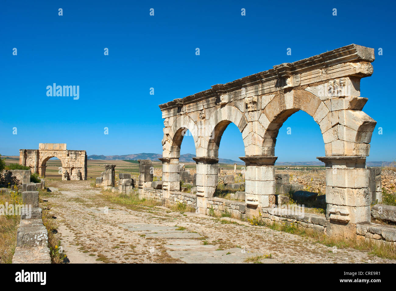 Roman ruins with triumphal arch of Caracalla, ancient residential city of Volubilis, northern Morocco, Africa Stock Photo