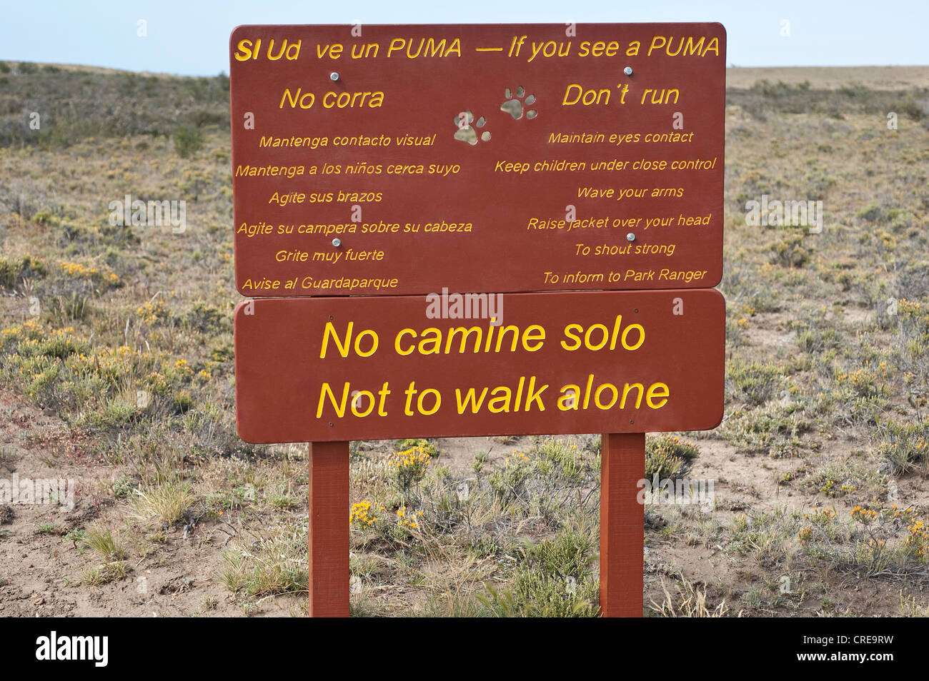 Board information what to do "If you see a puma" Parque National Monte Leon  Atlantic coast Santa Cruz Province Argentina Stock Photo - Alamy
