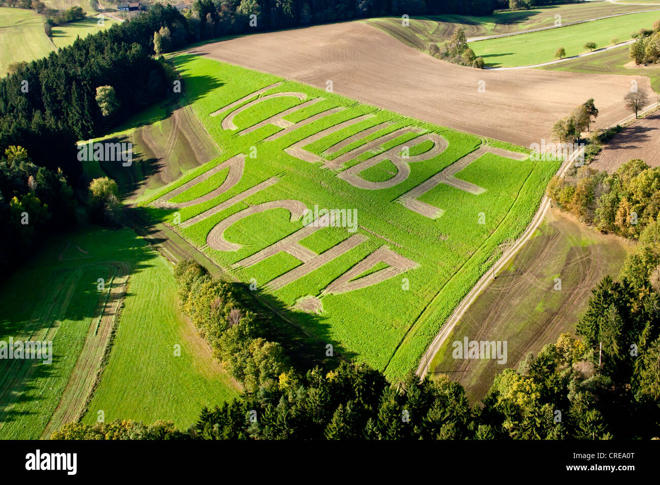 Aerial view of lettering 'ich liebe dich', German for 'I love you' on a field near Altrandsberg, Bavarian Forest, Bavaria Stock Photo