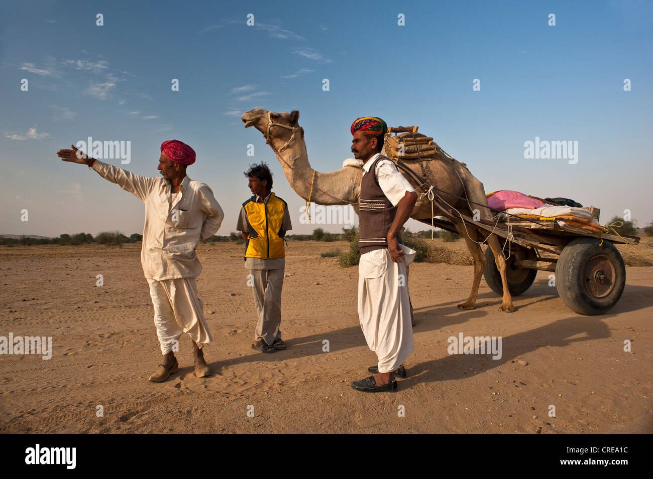 Two Indian men on the move with a camel and a camel cart, asking a local man for the way, Thar Desert, Rajasthan, India, Asia Stock Photo