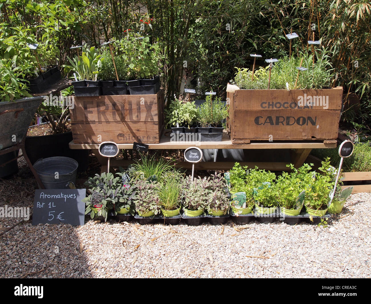 Various potted herbs for sale at a garden shop in Giverny, France, May