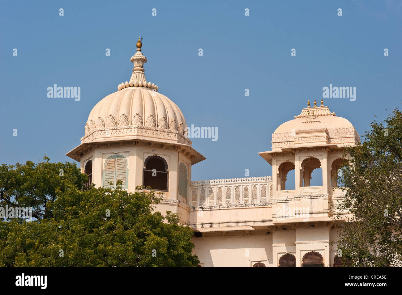 Fateh Prakash Palace, partial view, Chittorgarh Fort, Rajasthan, India, Asia Stock Photo