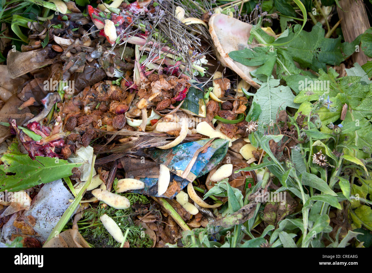 Organic waste, compost, compost heap, Germany, Europe Stock Photo Alamy