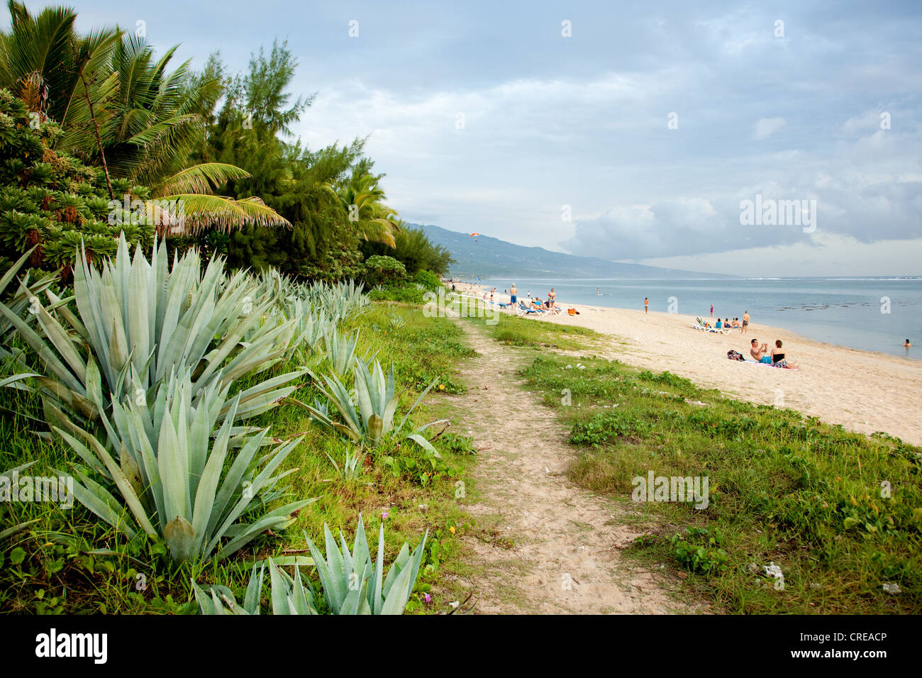 Beach at SalinelesBains, La Reunion island, Indian Ocean Stock Photo Alamy Beach at SalinelesBains, La Reunion island, Indian Ocean Stock Photo Alamy