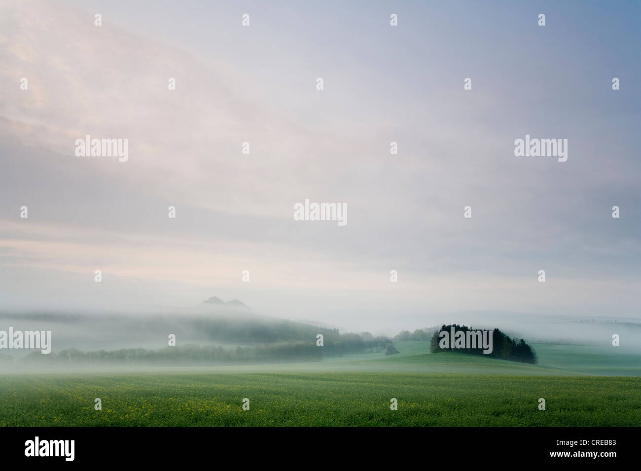 mist at the Vogtland, Germany, Saxony, Vogtland Stock Photo