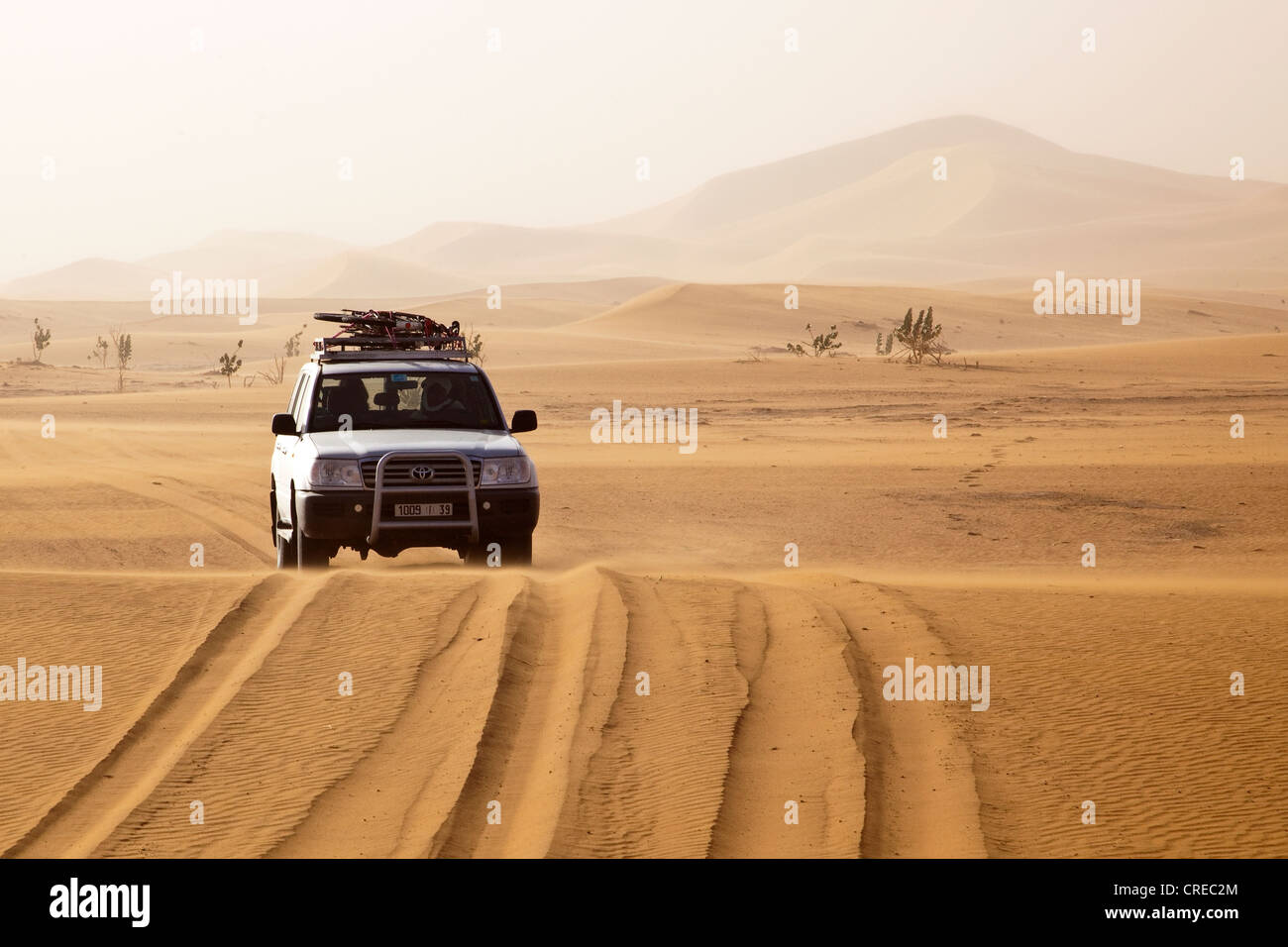 Allterrain vehicle, Toyota Land Cruiser, at the sand dunes of Erg