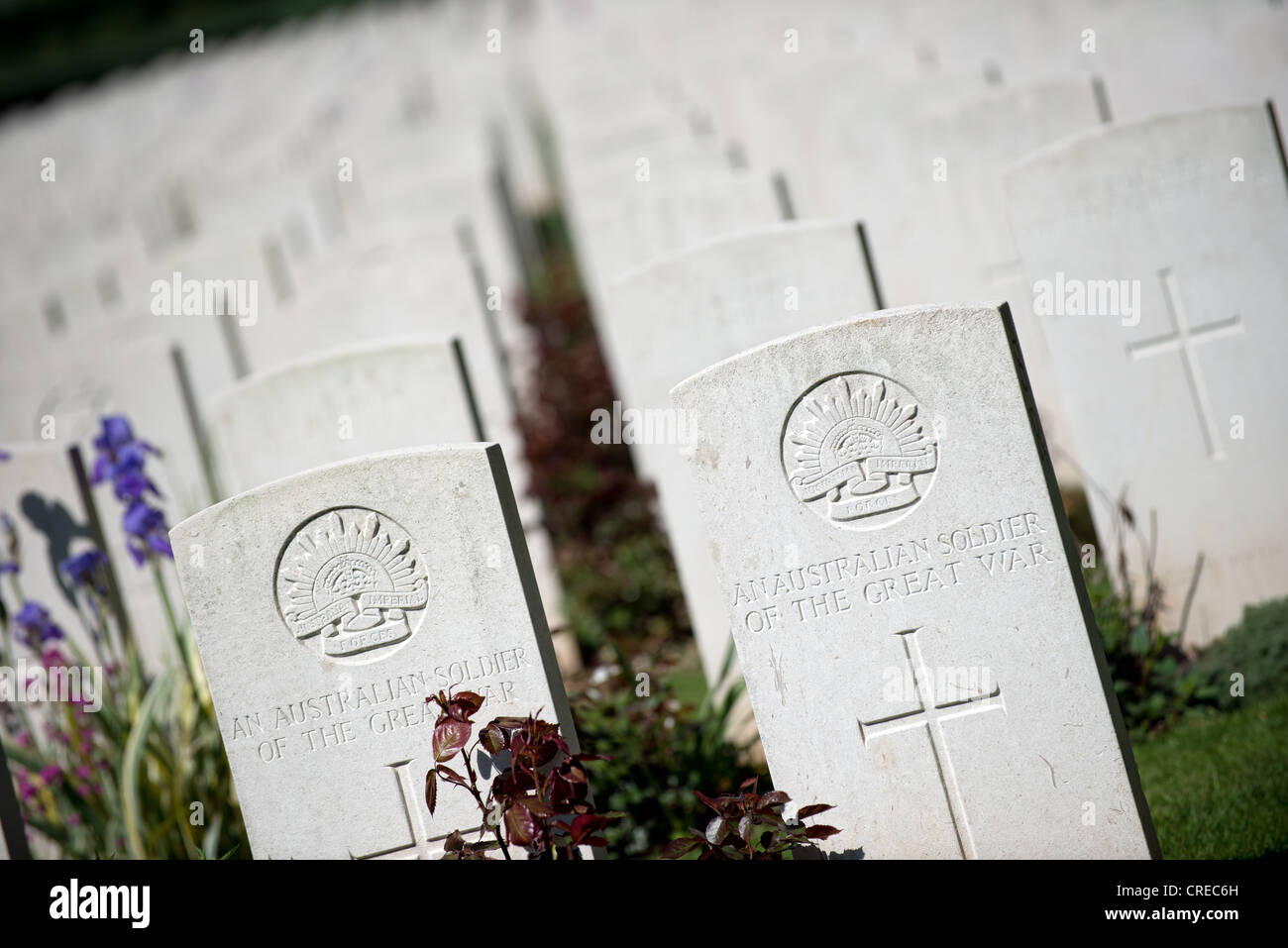Delville Wood military cemetery Longueval France Stock Photo