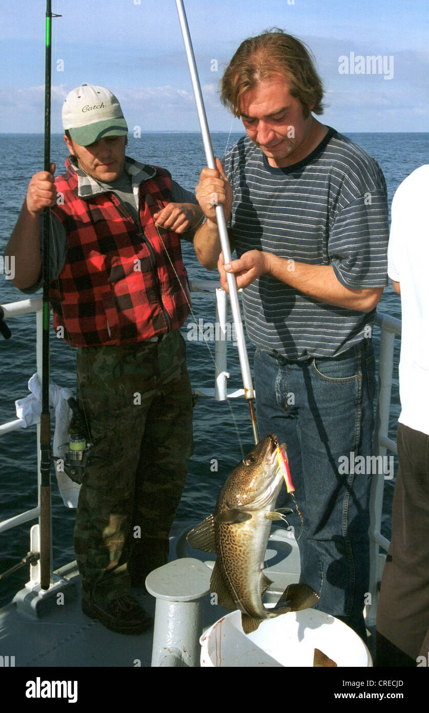 Anglers on the Baltic Sea with a pout on the hook, Germany Stock Photo