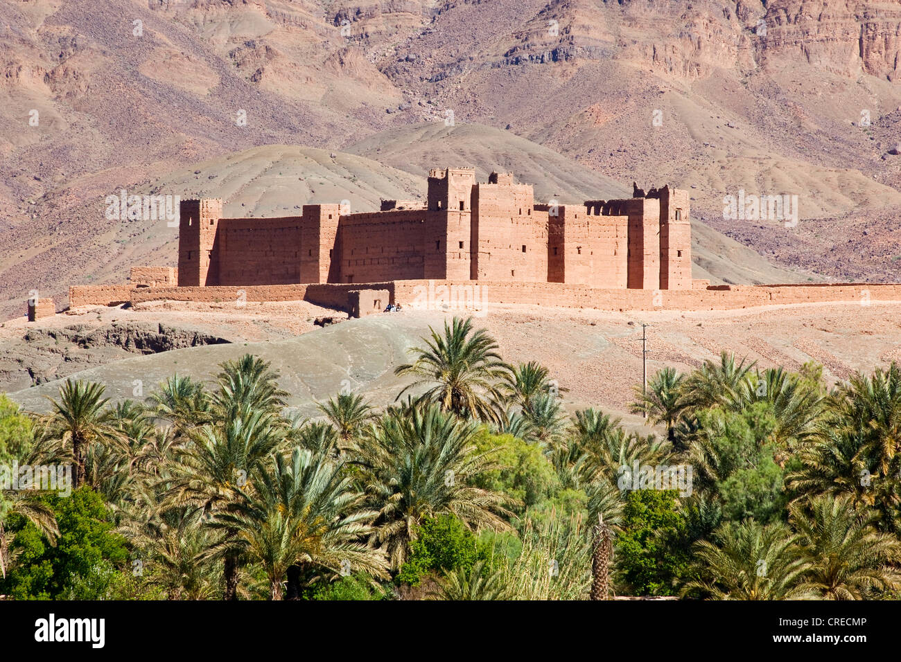 Tamnougalt Kasbah the Draa valley, near Agdz, Morocco, Africa Stock Photo