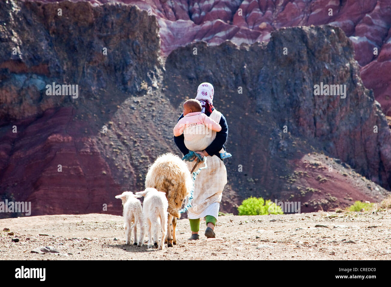 Woman with sheep carrying a child on her back, near , Ounila Valley