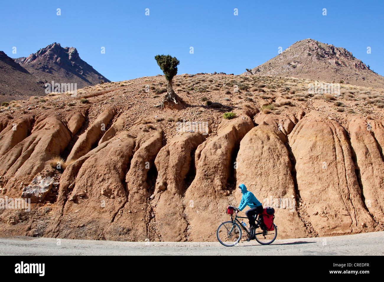 Cyclist en route to Telouet, Ounila Valley, High Atlas Mountains near Ouarzazate, Morocco, Africa Stock Photo