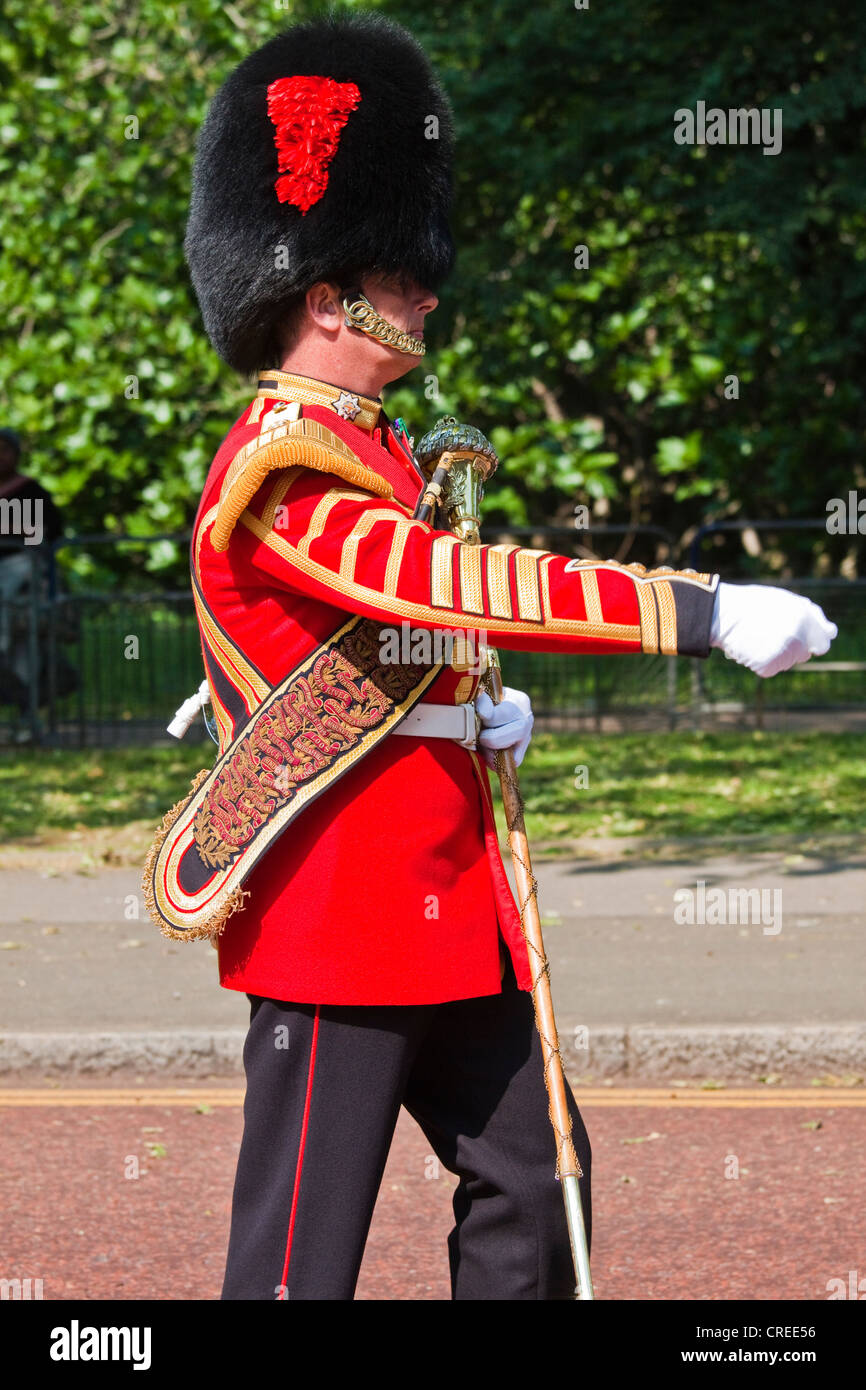 Drum major trooping the colour hires stock photography and images Alamy