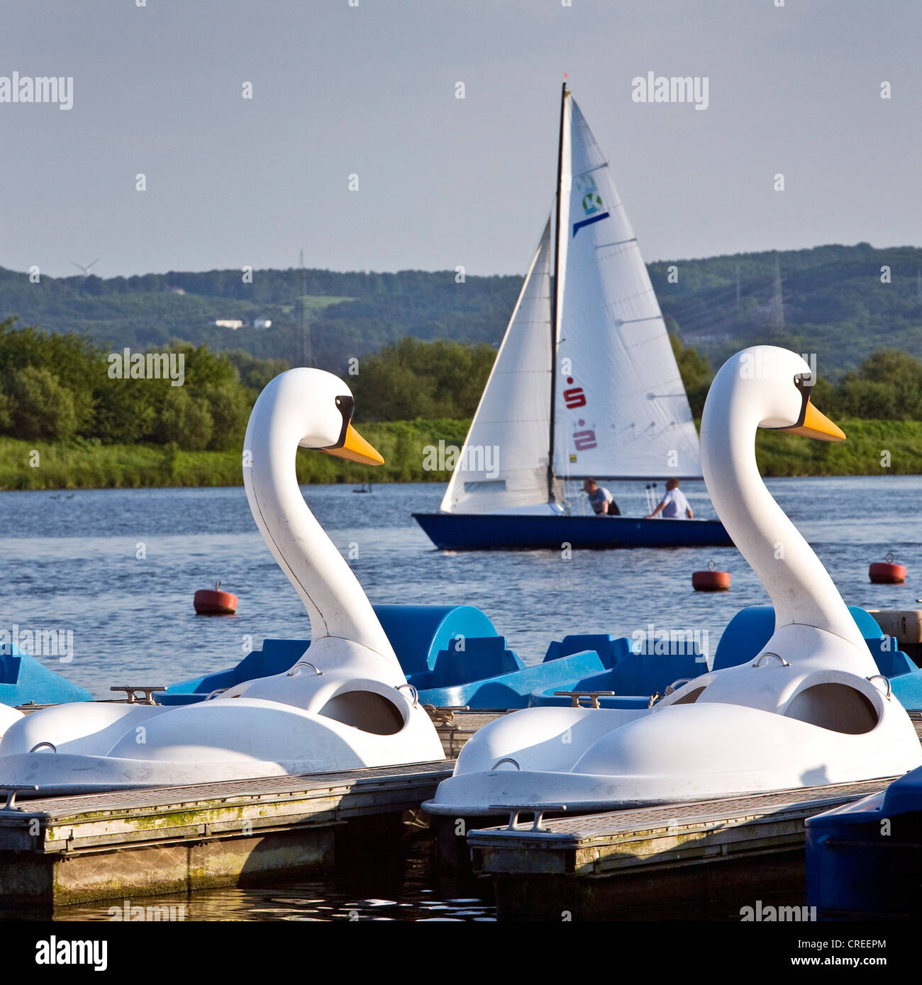 swan-shaped pedal boats on Kemnader Stausee, Germany, North Rhine-Westphalia, Ruhr Area, Witten Stock Photo