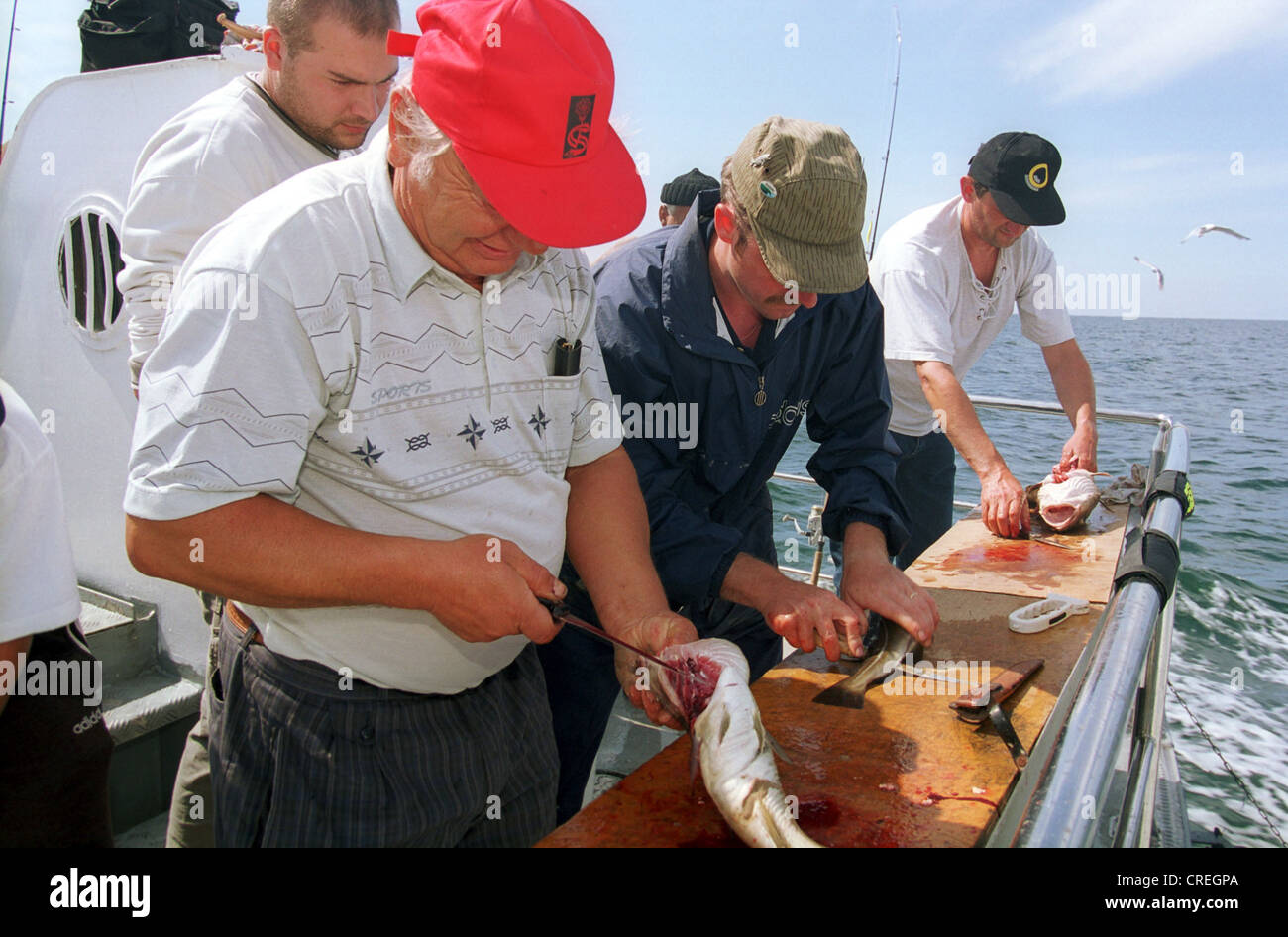 Anglers cleaning fish, Baltic Sea, Germany Stock Photo