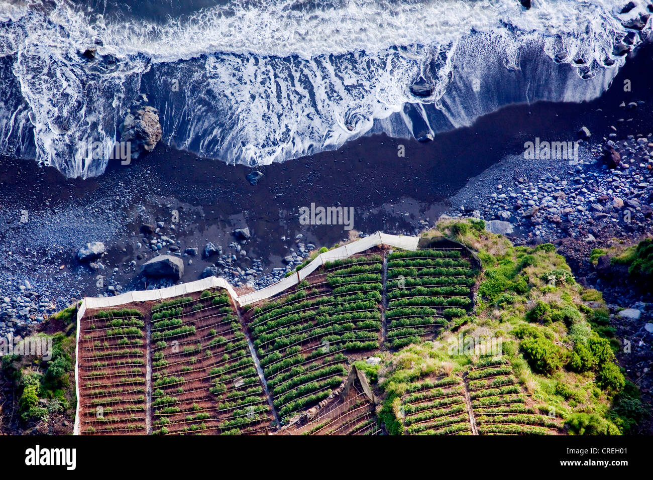 Fields on the Atlantic coast, at the bottom of the 580-meter-high Cabo Girao cliff near , Portugal, Europe Stock Photo