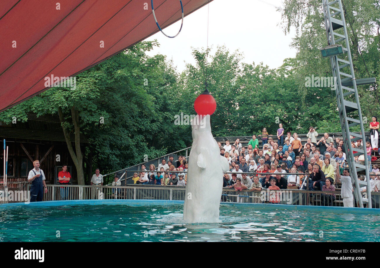 Walarium at Duisburg Zoo, Duisburg, Germany Stock Photo - Alamy