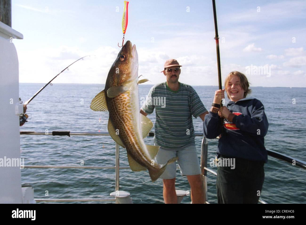 Fresh Baltic cod catch on, Baltic Sea, Germany Stock Photo