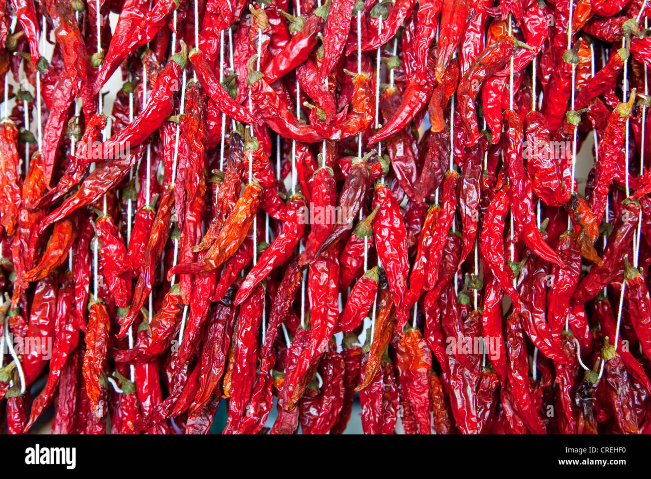 Chili peppers (Capsicum), on the market in Funchal, Madeira, Portugal, Europe Stock Photo