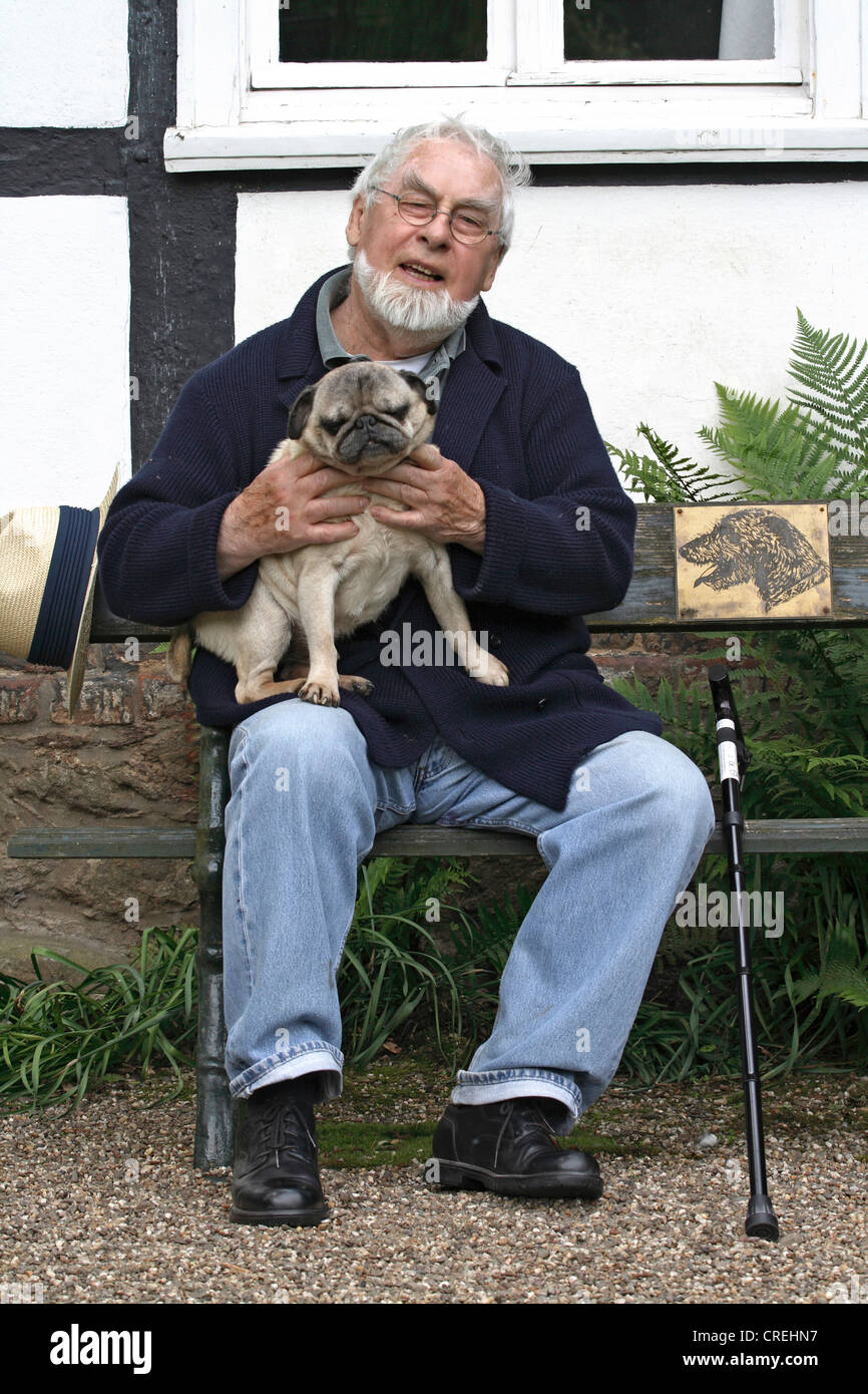 Pug (Canis lupus f. familiaris), old man sitting on a bench in the garden with a Pug, 11 years old Stock Photo