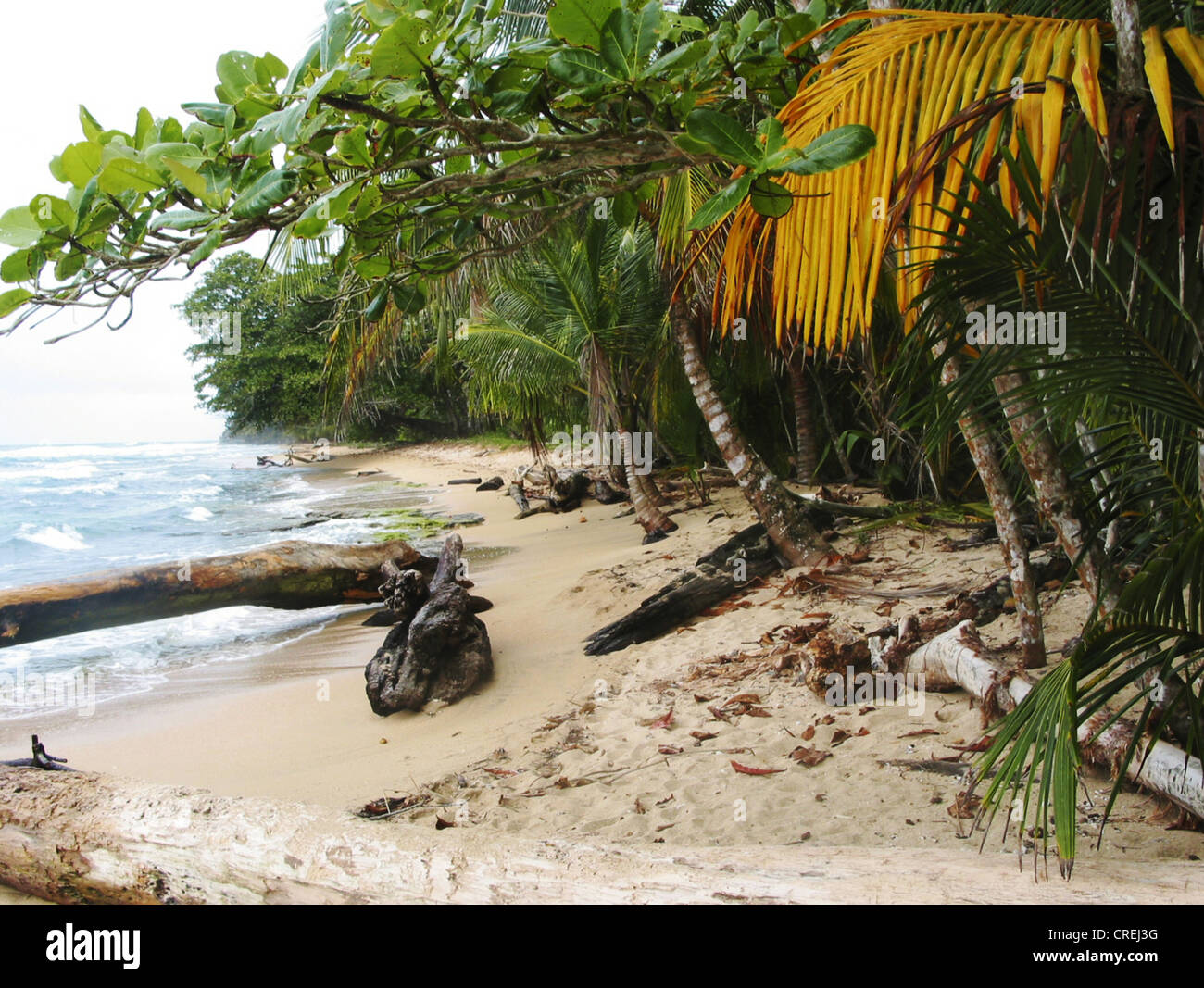 Beach and jungle landscape in the rain, Carribean, Costa Rica, Costa Rica, Limon Stock Photo