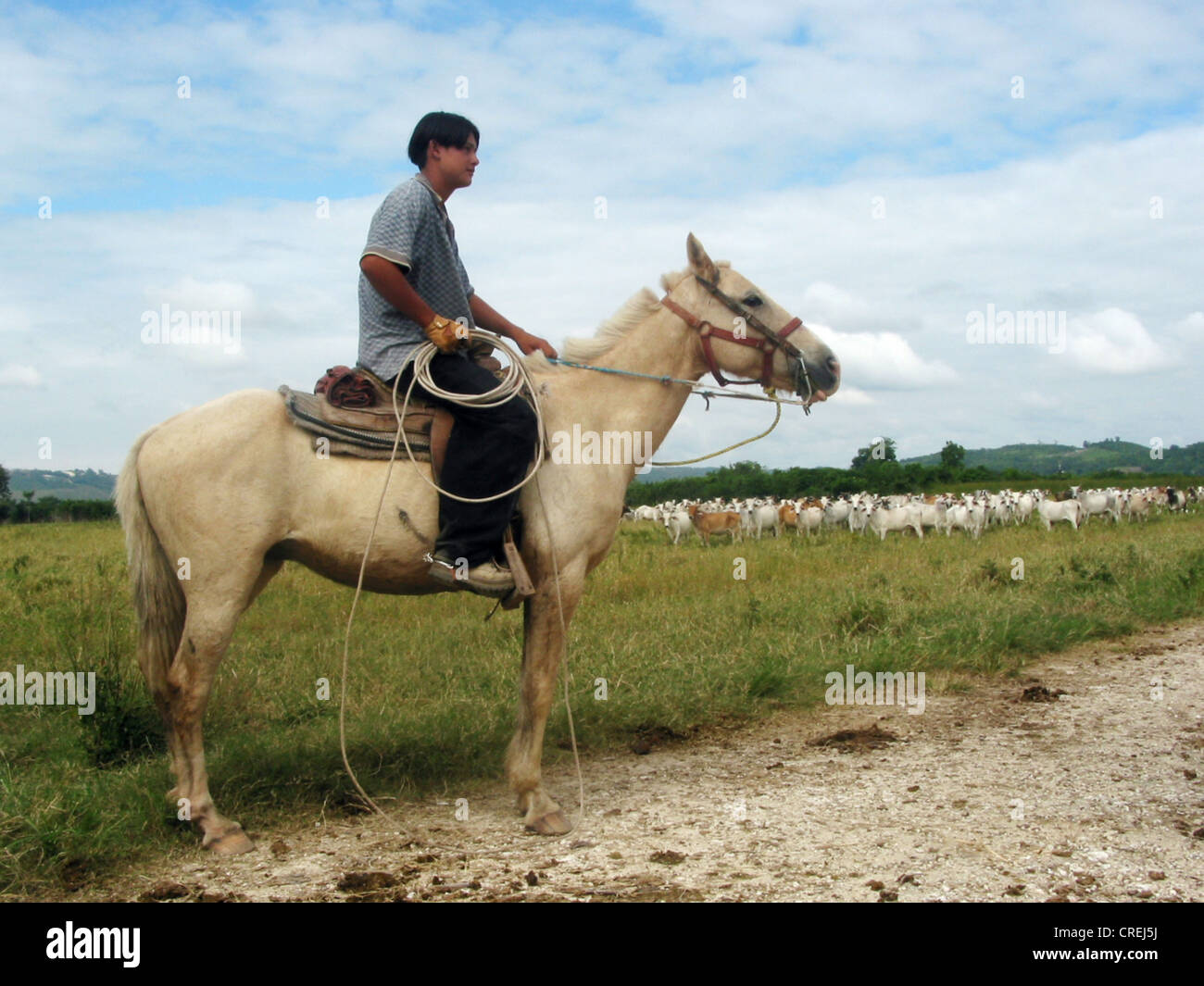 Young indian cowboy, Belize, Cayo District, Shipyard, Shipyard Stock Photo