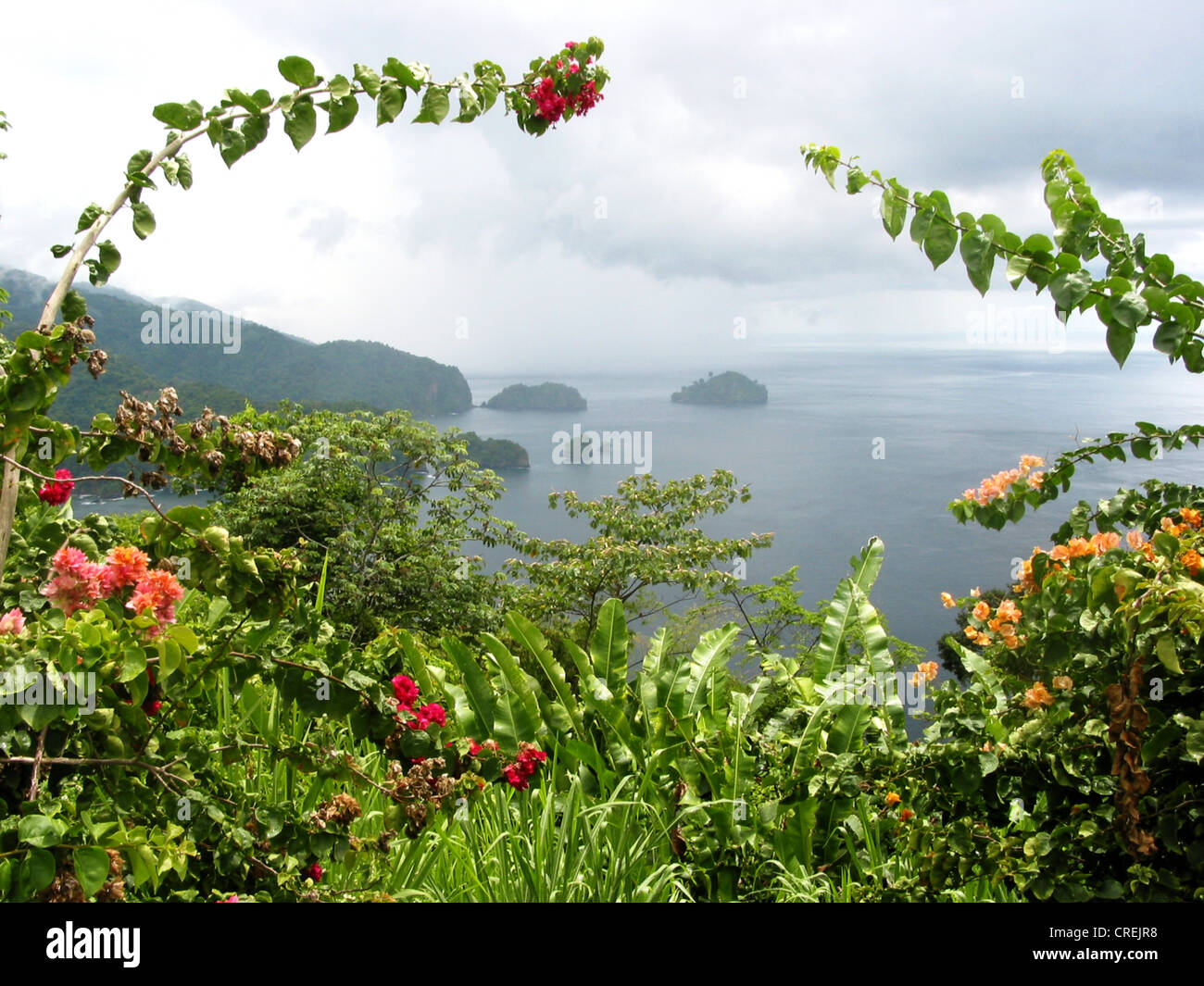 Wild plants form an arc, view of coastline of the Caribbean island of Trinidad, Trinidad and Tobago, Trinidad Stock Photo