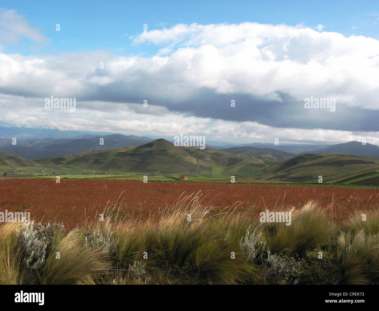 Landscape at Chimborazo, Ecuador, Chimborazo, Andes Stock Photo