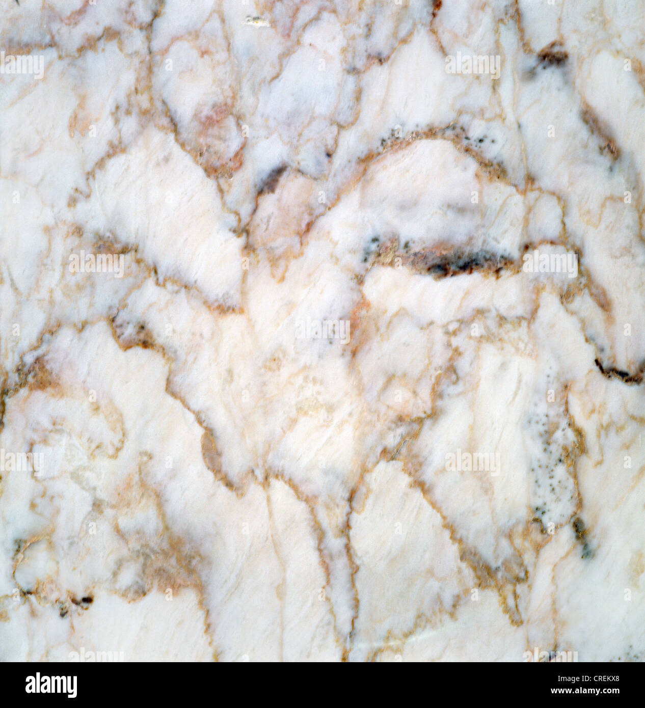 My Image 7