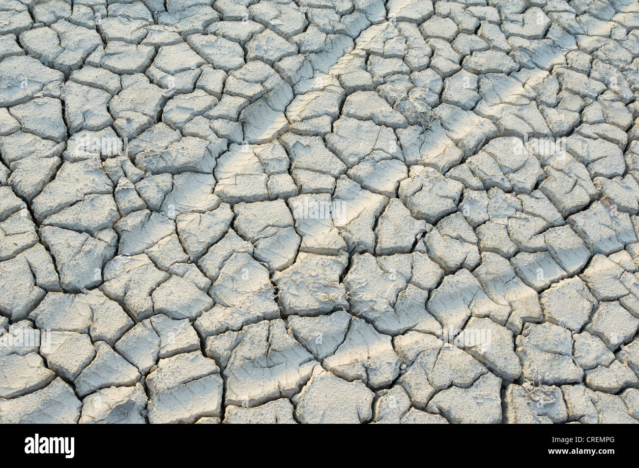 Clay soil with shrinkage cracks hi-res stock photography and images - Alamy