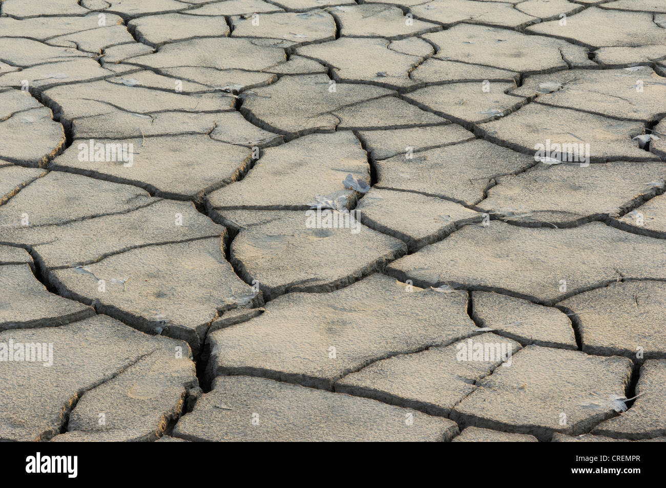 Clay soil with shrinkage cracks hires stock photography and images Alamy