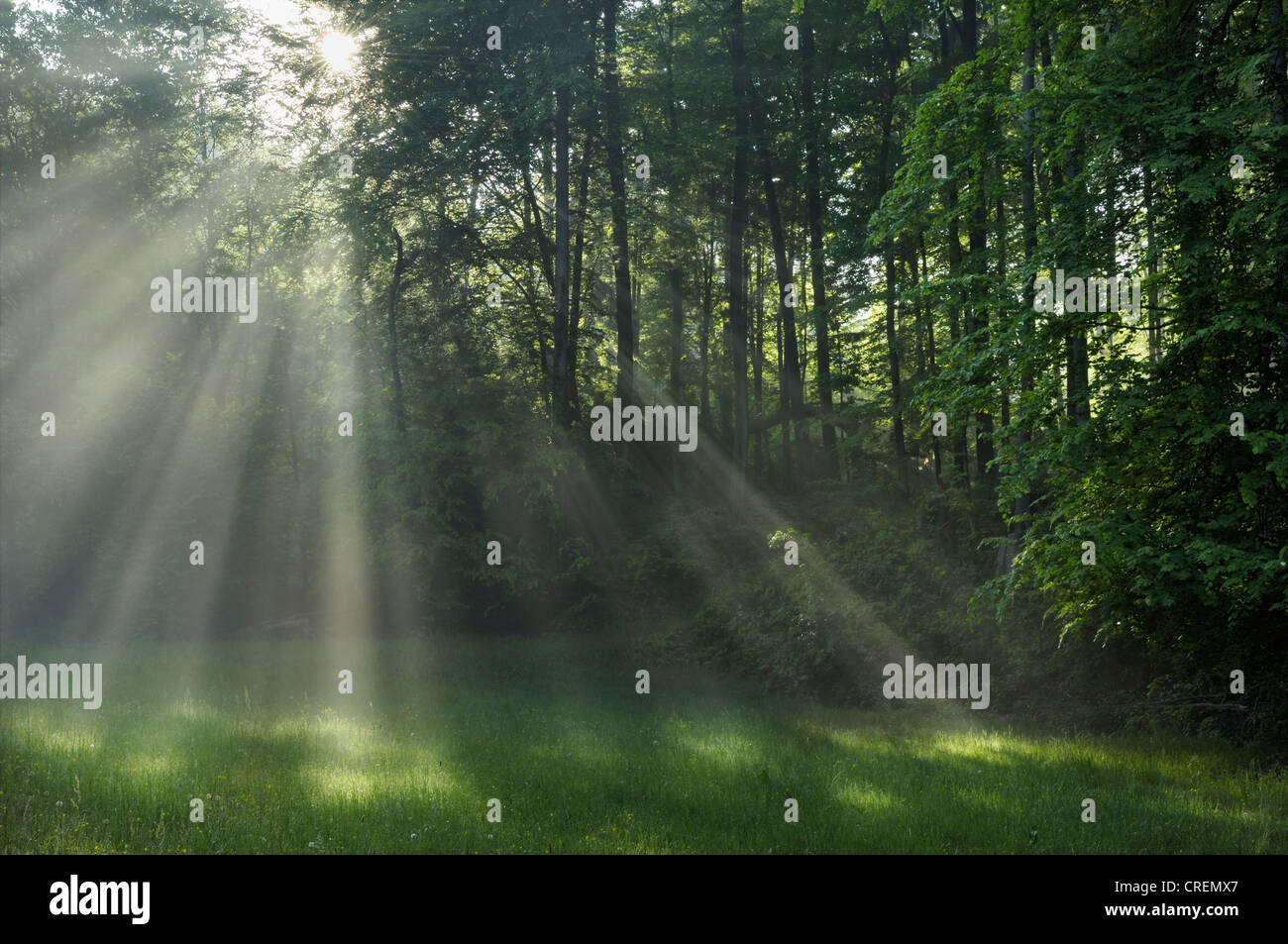 Dust sunbeam hi-res stock photography and images - Alamy