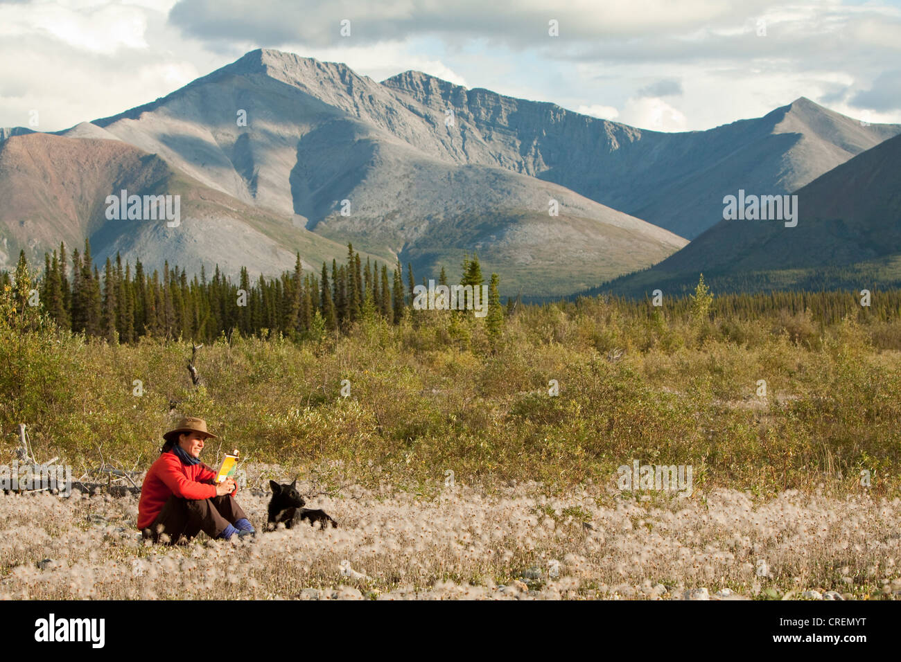 Young woman reading a book, relaxing, sitting in the grass, her dog, an Alaskan Husky, beside her, Cotton Grass, Peel Watershed, Stock Photo