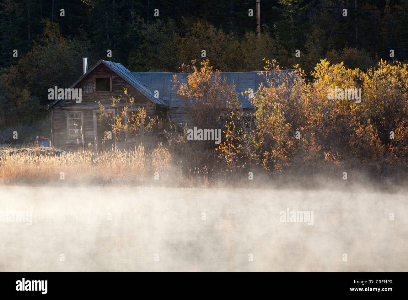 Old log cabin in Carcross, fog, steaming water, historic Chilkoot Pass, Chilkoot Trail, Indian summer, leaves in fall colours, Stock Photo
