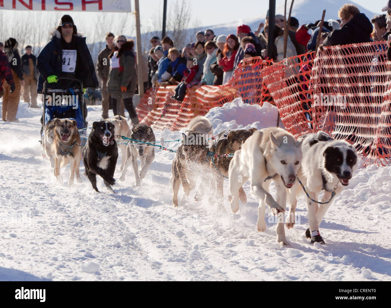 Yukon Quest and Iditarod musher Hugh Neff, dog sledding, mushing