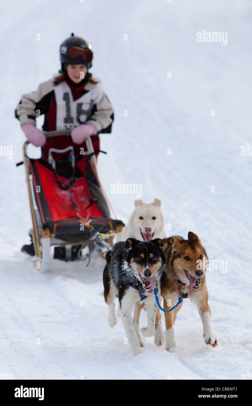 Child mushing Alaskan Huskies, running sled dogs, dog team, dog sledding, Carbon Hill dog sled race, Mt. Lorne, near Whitehorse Stock Photo