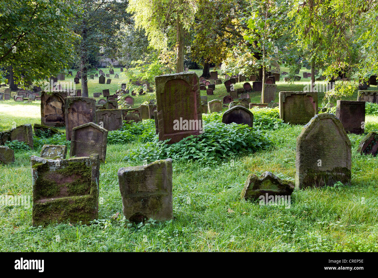 Heiliger Sand Jewish cemetery, Worms, Rhenish Hesse, Rhineland-Palatinate, Germany, Europe Stock Photo