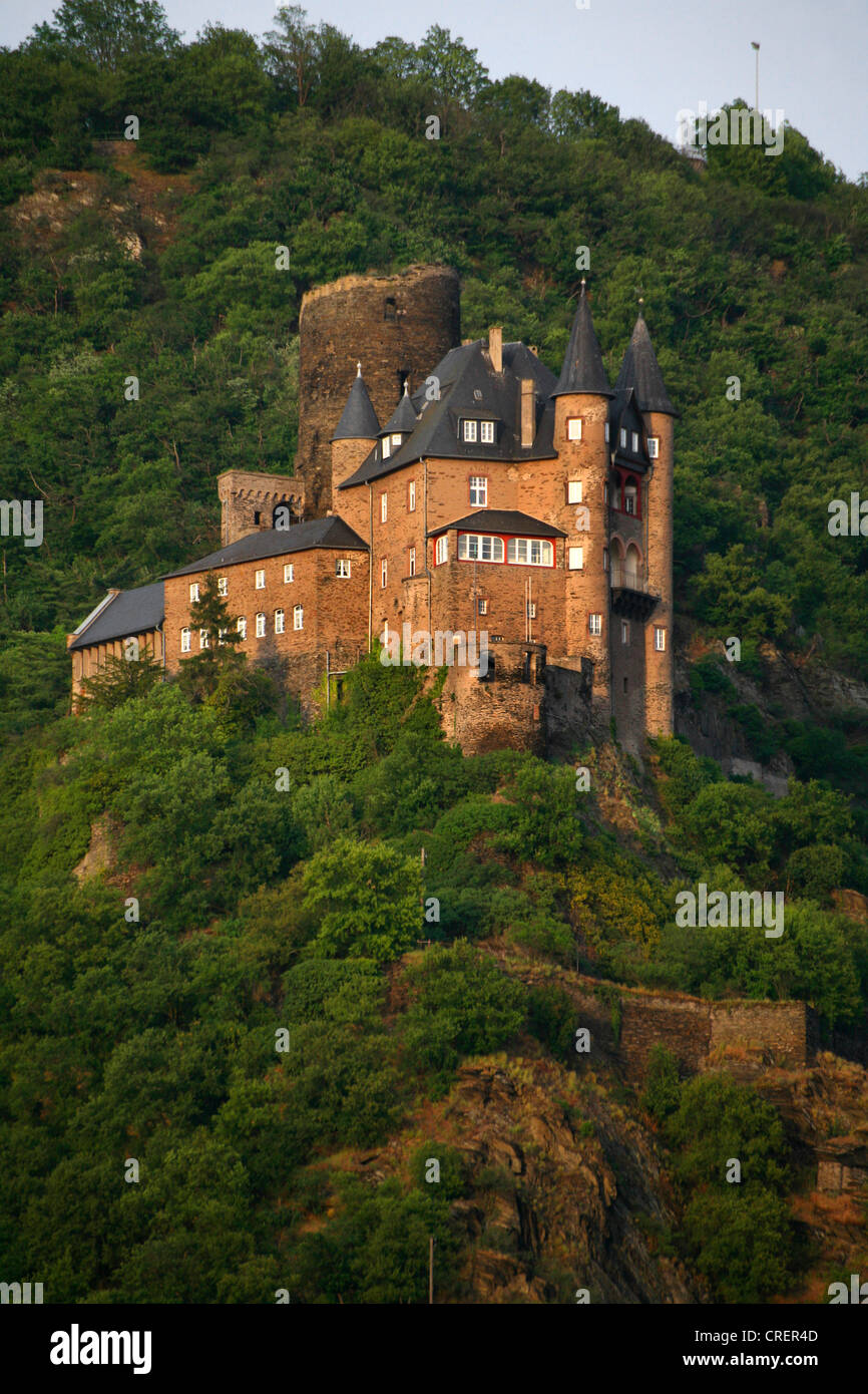 Burg Katz, Katz Castle, Germany, Rhineland-Palatinate, St. Goarshausen am Rhein Stock Photo