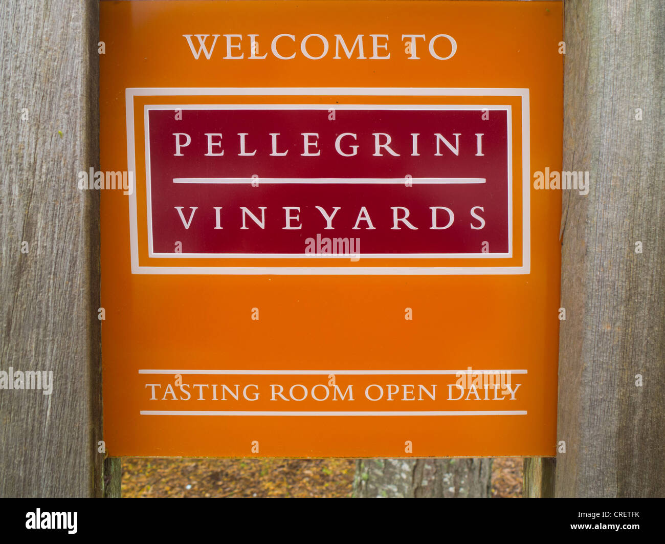 Pellegrini vineyard in Cutchogue Long Island Stock Photo