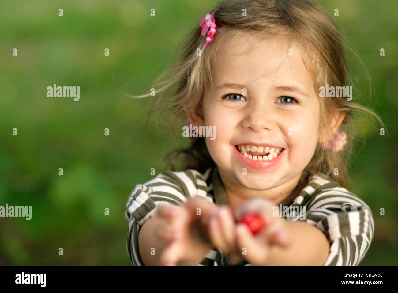 small blond girl picking cherries, Germany Stock Photo