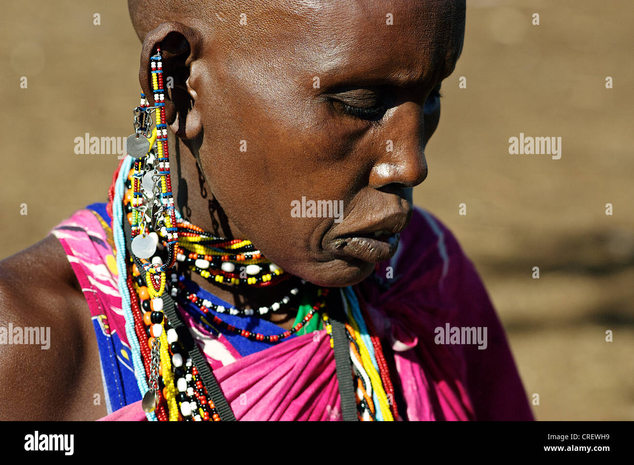 Portrait of the Kenyan woman, Masai Mara, Africa Stock Photo Alamy