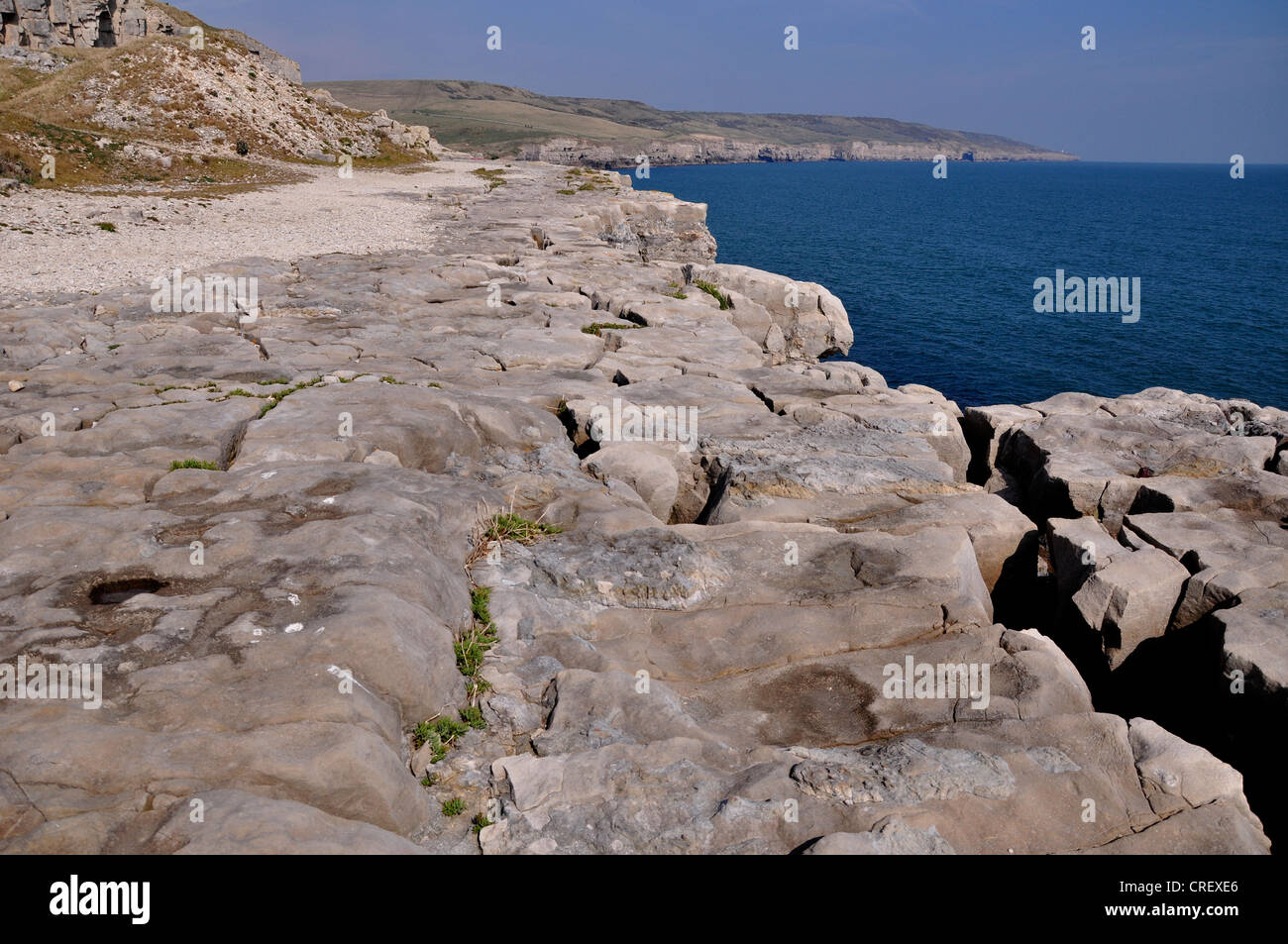 The cliffs at  Winspit, on the East Dorset coast UK Stock Photo